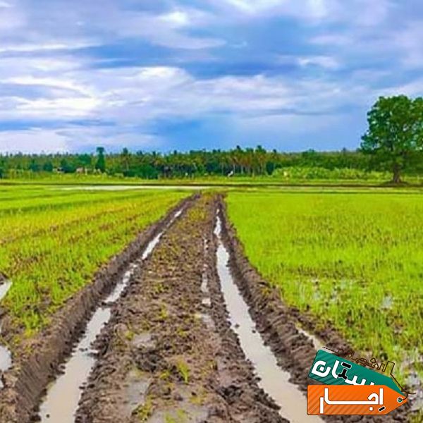 اجاره زمین کشاورزی با آب موتور واستخر بزرگ
