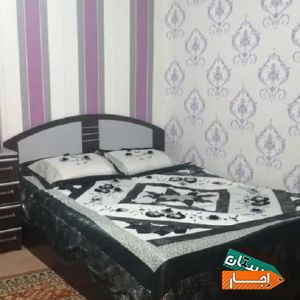اجاره درختی شیک با قیمت مناسب