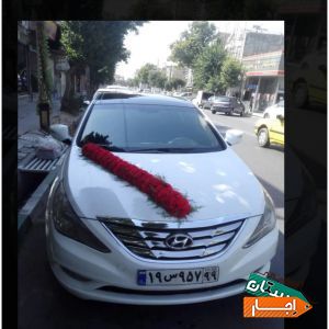 اجاره ماشین عروس سوناتا وای اف سفید