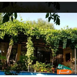 اجاره باغ و ویلا استخر دار
