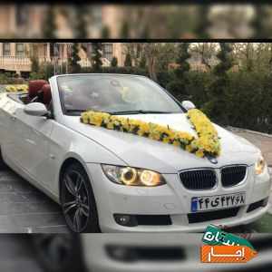اجاره ماشین عروس کروک