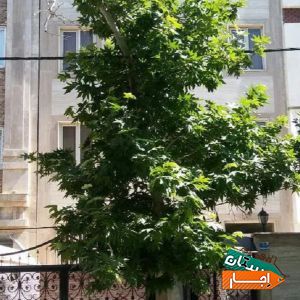 اجاره آپارتمان 50متر با بهترین دسترسی