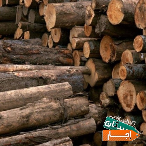 متفرقه