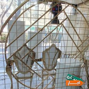 اجاره ظروف کرایه حلقه.بگراندکلمن شیشه ای صندلی سوارز