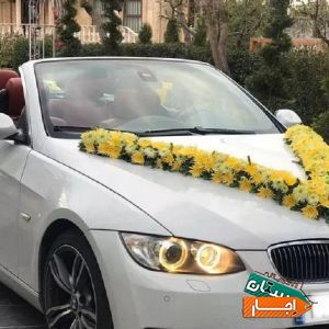 اجاره ماشین عروس کروک با بهترین قیمت