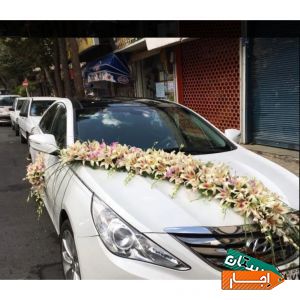 اجاره انواع ماشین عروس