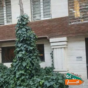 بهترین شرایط اجاره آپارتمان 95 متر آلاله شرقی (نیلوفر)