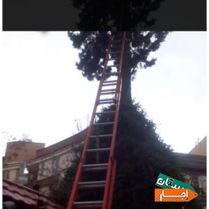 اجاره نردبان