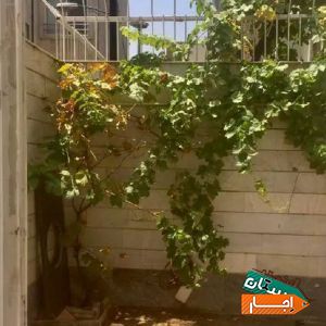 اجاره 50 متر مستقل حیاط دار بنی هاشم با بهترین شرایط
