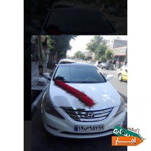 اجاره ماشین عروس سوناتا وای اف سفید