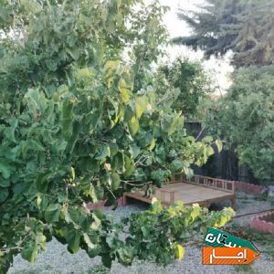 اجاره باغ ویلا استخر آبگرم با بهترین شرایط