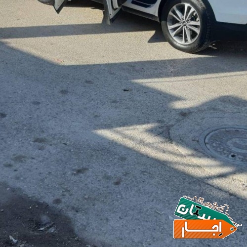 اجاره خودرو با راننده