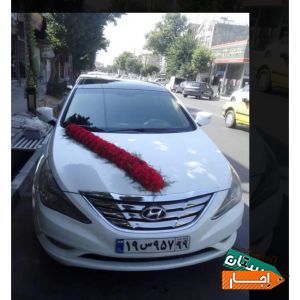 اجاره ماشین عروس سوناتا وای اف سفید