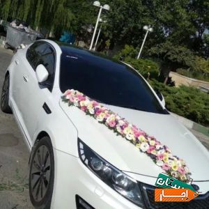 اجاره اپتیما