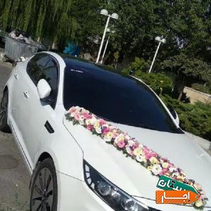 اجاره اپتیما با بهترین قیمت