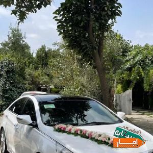 اجاره/کرایه ماشین عروس سوناتاYF همراه با راننده با بهترین قیمت