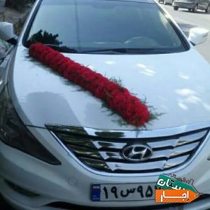 اجاره ماشین عروس سوناتاوای اف سفید کولر یسره روشن