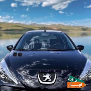 اجاره خودرو مشکی/207 ازمالک