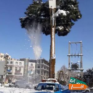 اجاره بالابرنیسان جرثقیل سبددارکابین لجور