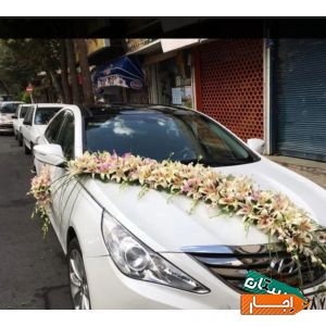 اجاره انواع ماشین عروس