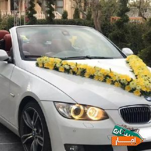 اجاره ماشین عروس کروک با مناسب ترین قیمت