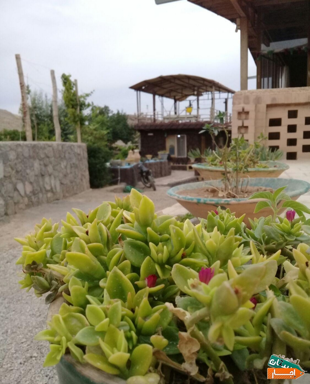 اجاره