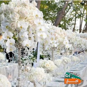 اجاره باغ تالار و تشریفات رویای ماندگار شب با شرایط عالی