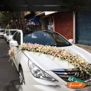 اجاره انواع ماشین عروس