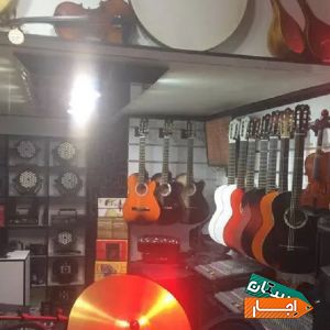 اجاره انواع باند اکتیو پستیو دایناکورد اکو EV RCF با مناسب ترین قیمت