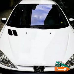 اجاره ماشین/اتومبیل/206 مالک