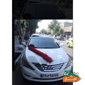 اجاره ماشین عروس سوناتا وای اف سفید