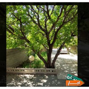 اجاره باغ ویلا