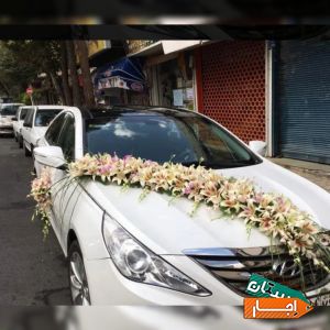 اجاره انواع ماشین عروس
