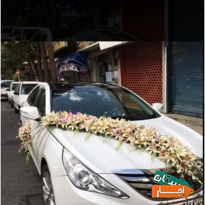 اجاره انواع ماشین عروس