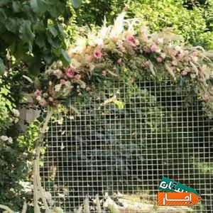 بادکنک ارایی گل ارایی اجاره باندنوراجاره باغ ویلا با بهترین قیمت