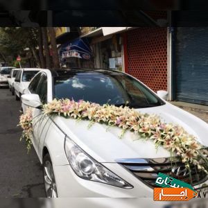اجاره انواع ماشین عروس
