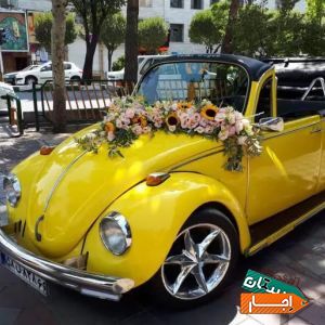 کرایه اجاره رنت ماشین عروس تشریفات دربستی از مالک