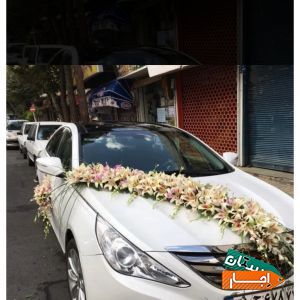 اجاره انواع ماشین عروس
