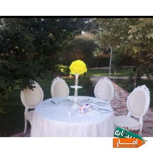 ظروف کرایه،اجاره صندلی ومیز،بادکنک ارایی وتم تولد