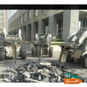 اجاره بابکت به همراه پیکور