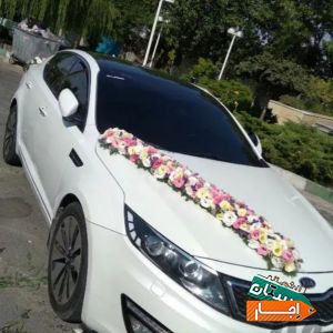 اجاره اپتیما باقیمت و شرایط عالی