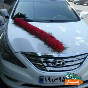 اجاره ماشین عروس سوناتاوای اف سفید کولر یسره روشن