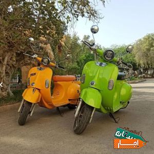 اجاره موتور (رنت انواع موتور برقی)