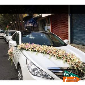 اجاره انواع ماشین عروس