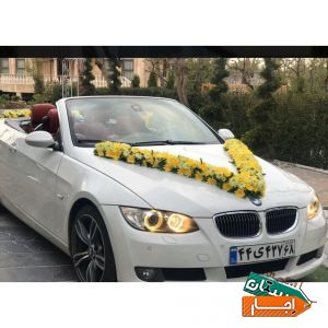 اجاره ماشین عروس کروک