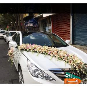 اجاره انواع ماشین عروس