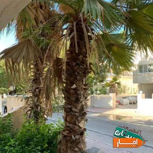 اجاره دو خواب/ صدف با بهترین شرایط در کیش