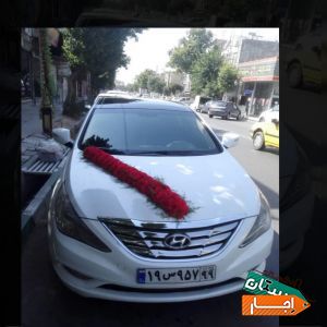 اجاره ماشین عروس سوناتا با گل ودسته گل