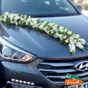 اجاره ماشین عروس با بهترین شرایط