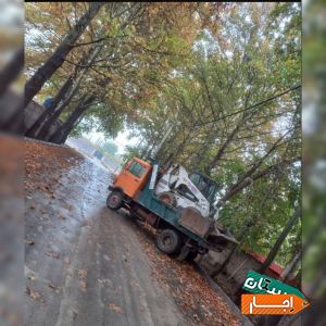 اجاره بابکت ،مینی بیل
